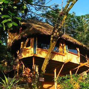 vanira-lodge.frenchpolynesia-hotels.com/
